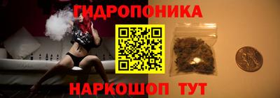 винт Шелехов